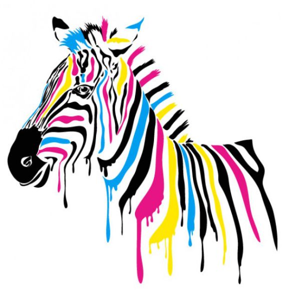 multicoloured zebra
