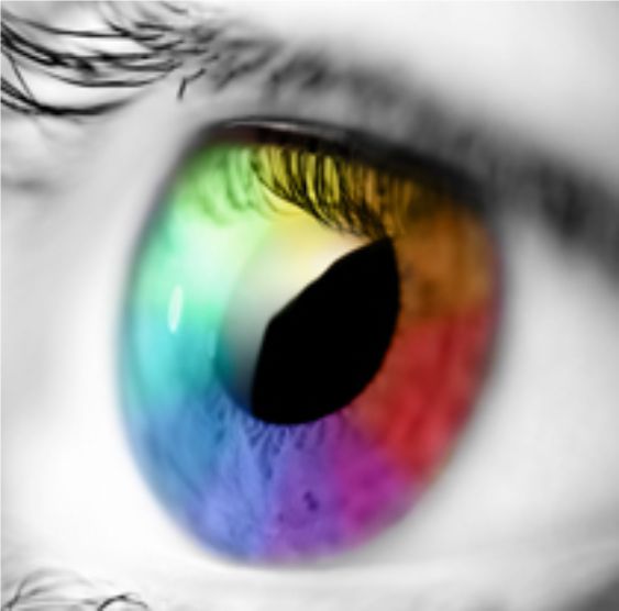 multicoloured eyeball